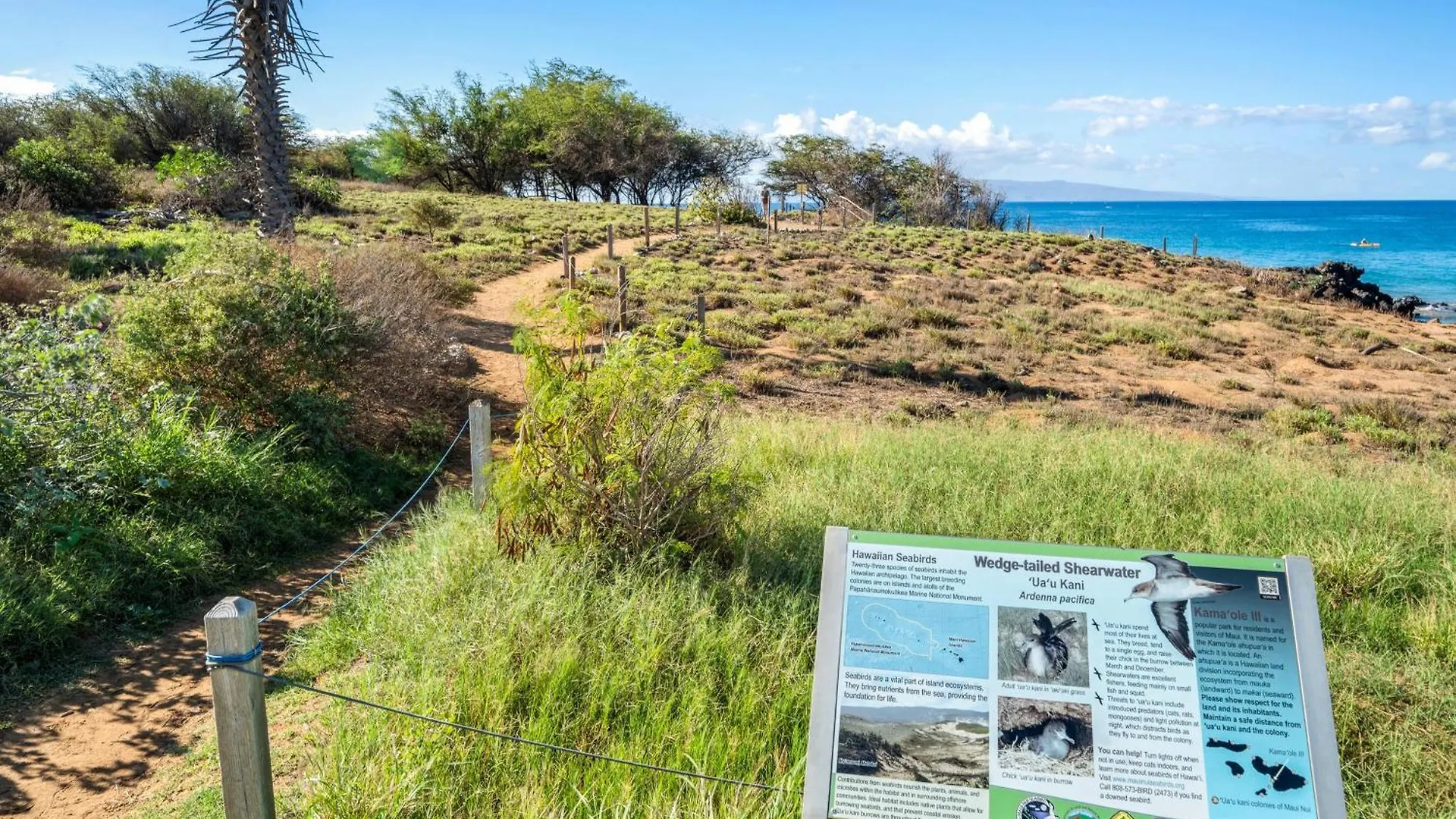 Hale Kamaole 171 Villa Wailea  Holiday home Wailea (Maui)